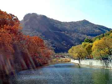 新澳天天开奖资料大全旅游团，聊城肯雅隆